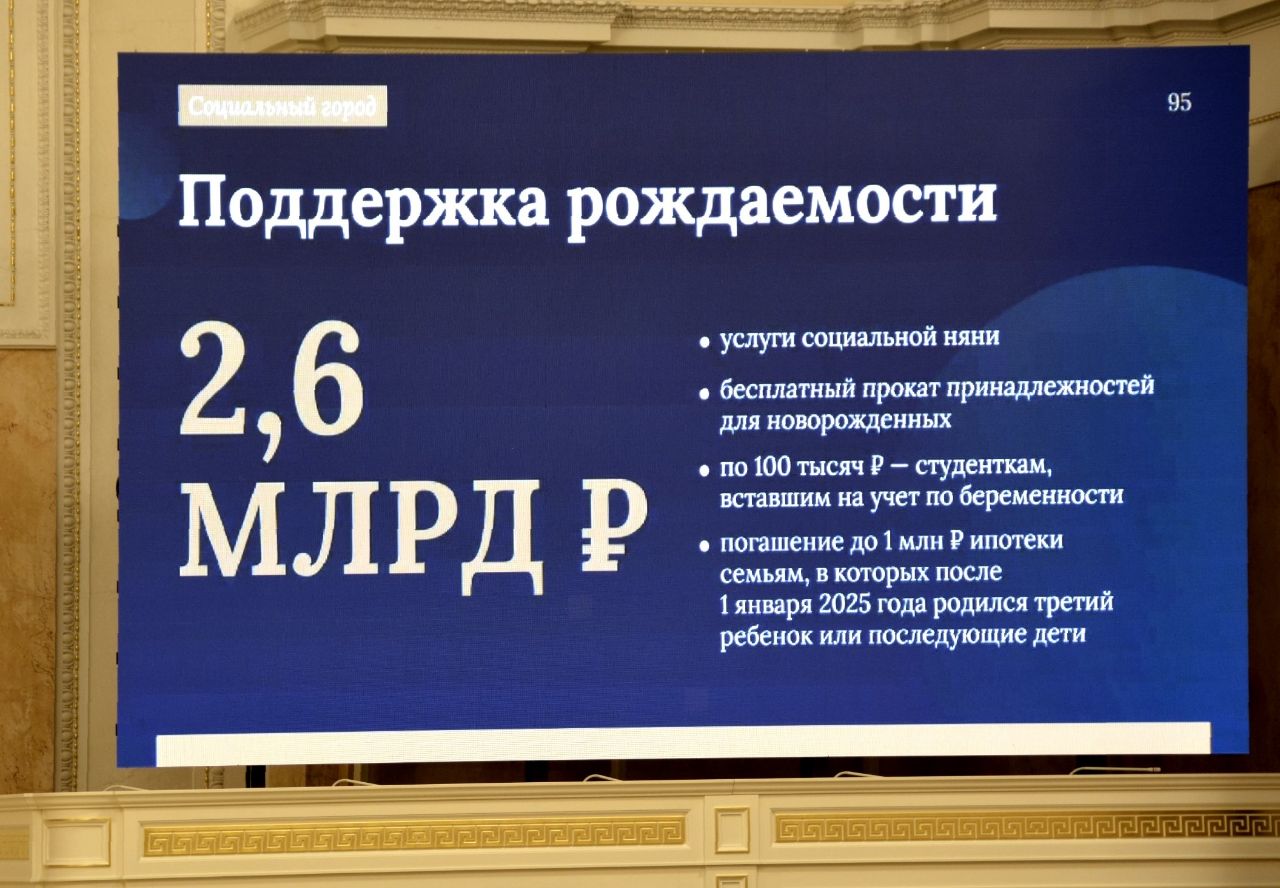 Контрольно-счетная палата Санкт-Петербурга рекомендовала принять проект бюджета на 2026 год за основу